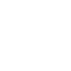 About Vission
